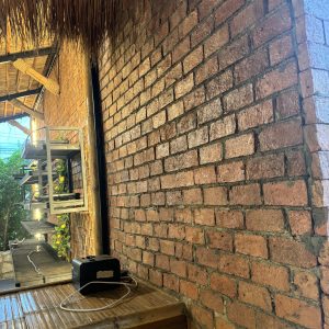 S__18800660_0